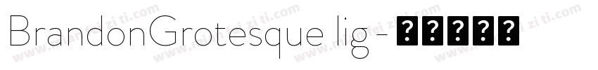 BrandonGrotesque lig字体转换